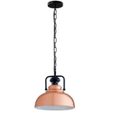 Industrial Chain pendant Light Metal Shade Farmhouse Style Pendant Light~1545