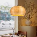 Ele Dome Rattan Pendant Light