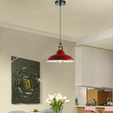 Industrial Chandelier Pendant Light Hanging Light Fixture E26~1394