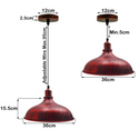 Industrial Retro Ceiling Pendant Light~1445